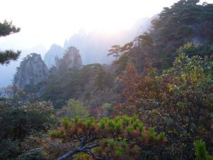 黄山